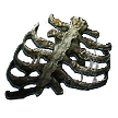 Preserved Rib